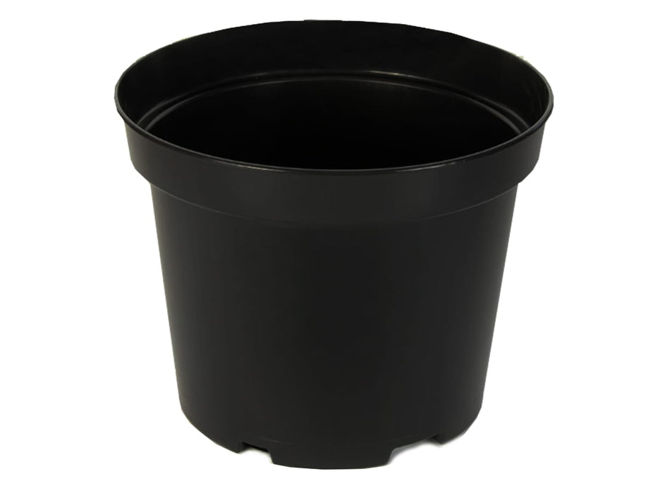 Plant pot growing pot, round, black, Ø22cm, 5 L, 1-50 pieces 