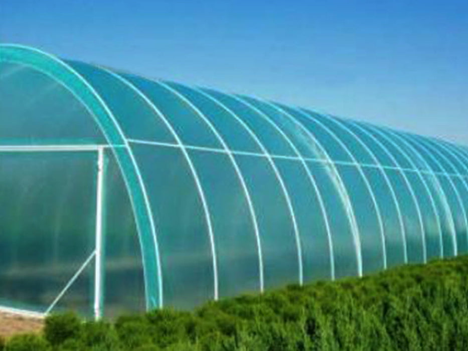 UV2 resistant horticultural film, greenhouse film, greenhouse film 8 x 33 m