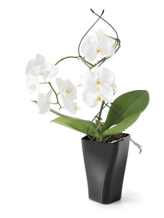 Orchideentopf, Blumentopf,  12 x 20 cm, GardenPot, Gelb-transparent